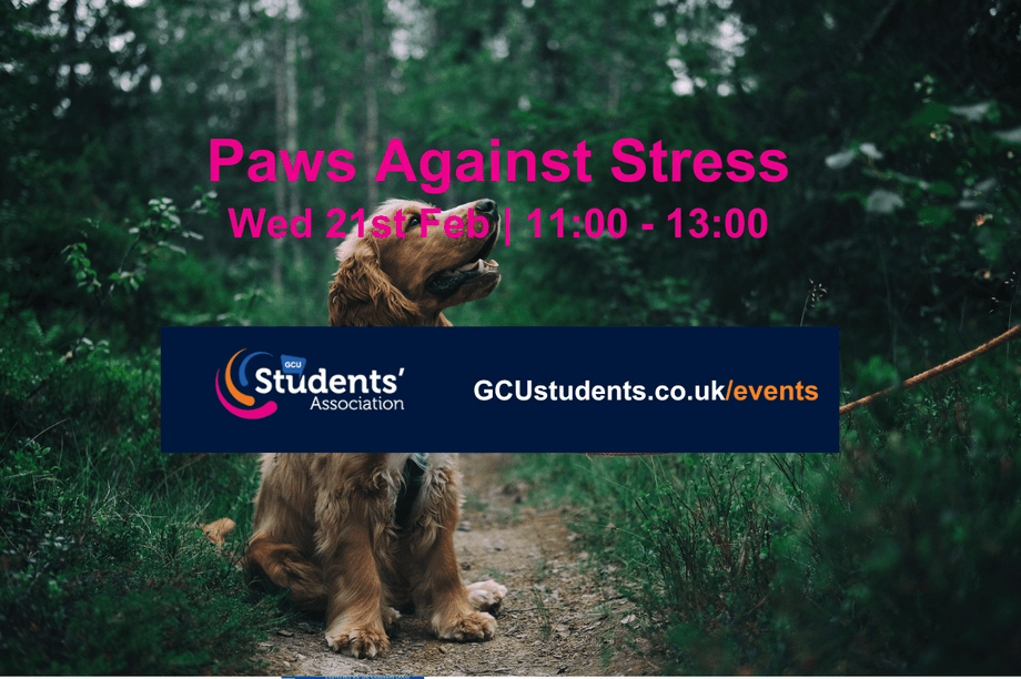 Paws Against Stress