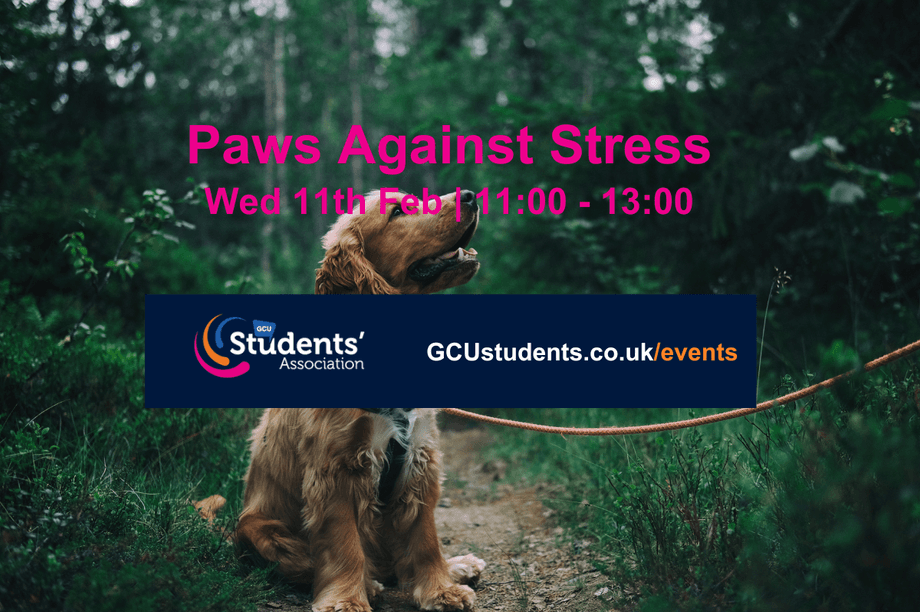Paws Against Stress